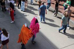 2026 02 17 Mardi Gras NOLA (1049).JPG